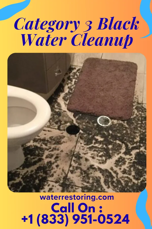 Category 3 Black Water Cleanup in Mullen, NE
